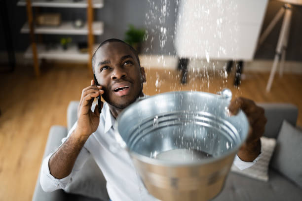 Best Basement water damage restoration  in Dearborn Heights, MI