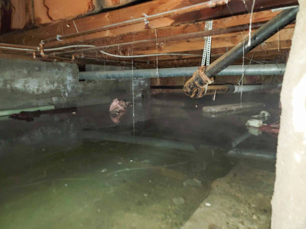 Best 24-hour water damage restoration  in Dearborn Heights, MI