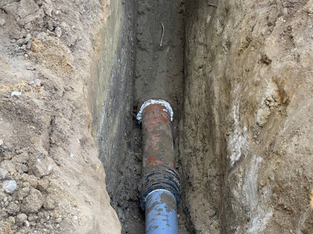 Best Flood restoration services  in Dearborn Heights, MI