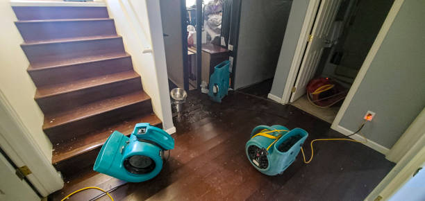 Best Local water damage restoration  in Dearborn Heights, MI