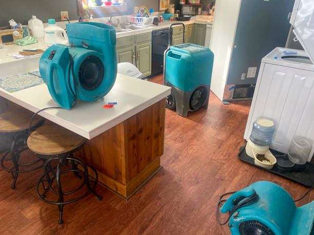 Best Carpet water damage restoration  in Dearborn Heights, MI