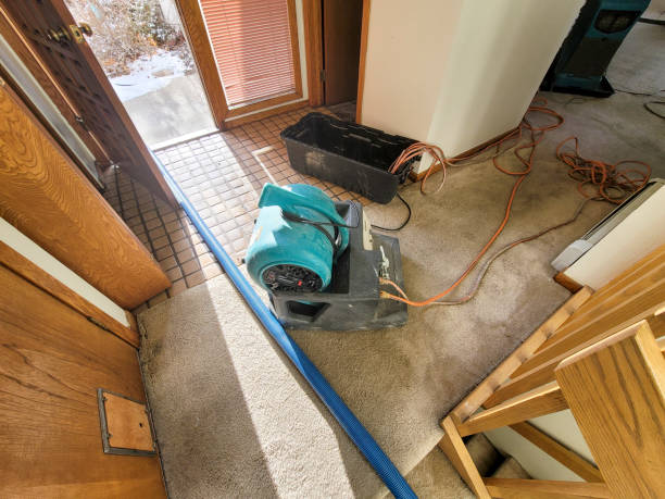 Trusted Dearborn Heights, MI Water damage restoration Experts