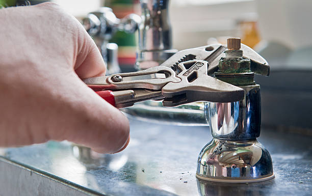 Best Mold removal after water damage  in Dearborn Heights, MI