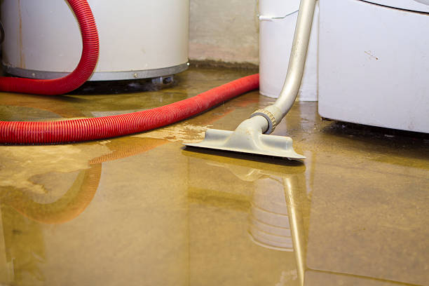 Best Local water damage restoration  in Dearborn Heights, MI