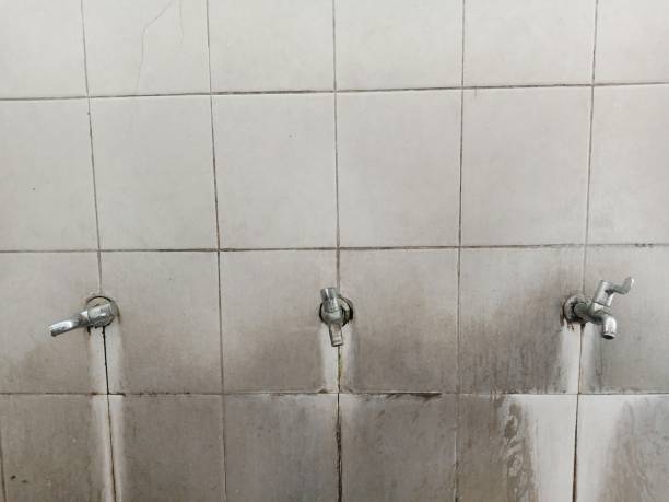 Best 24/7 water damage repair  in Dearborn Heights, MI