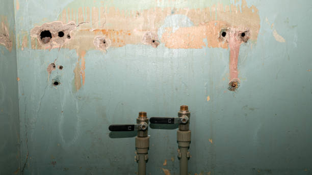 Best Water damage restoration company  in Dearborn Heights, MI
