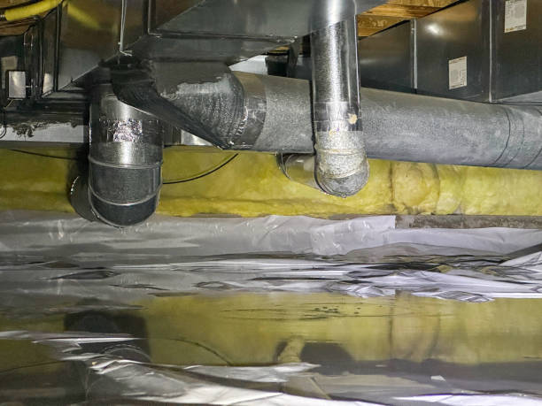 Best Professional water damage repair  in Dearborn Heights, MI