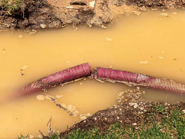 Best Commercial water damage restoration  in Dearborn Heights, MI