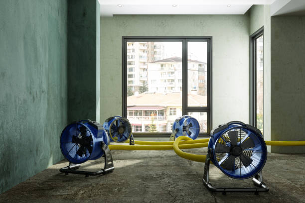 Best Ceiling water damage repair  in Dearborn Heights, MI