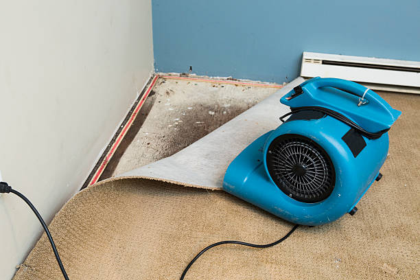 Best Water damage contractors near me  in Dearborn Heights, MI